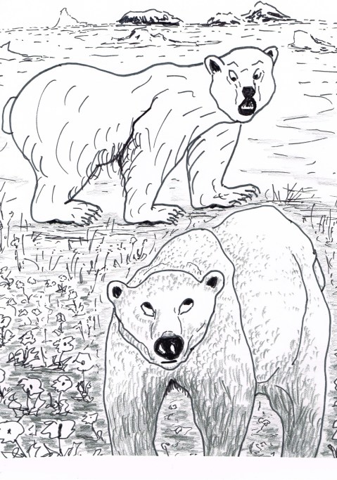 Scientists say that changing climate and habitat could cause Polar Bears to turn brown