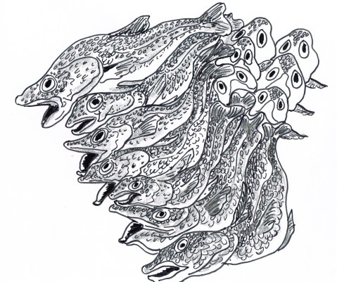 The Canadian Conservative government has missed another deadline to implement its controversial fisheries bill which gutted habitat protection.