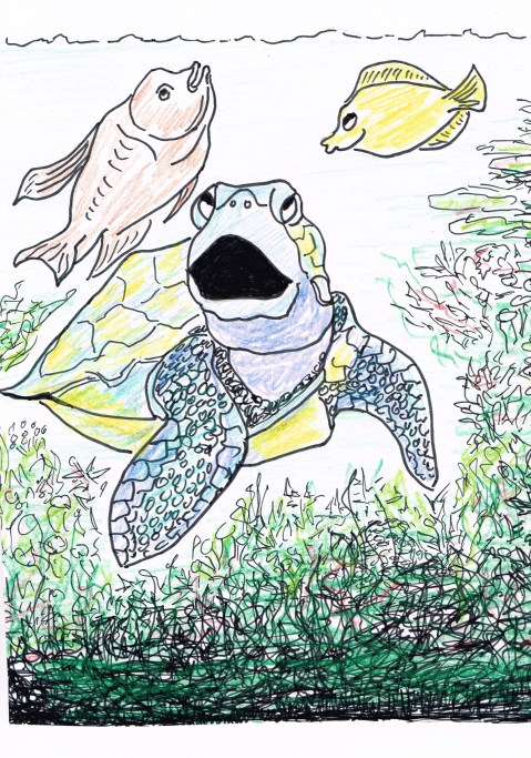 US Airforce drops unarmed bombs, each carrying 2,000 pounds of concrete, on Great .Barrier Reef