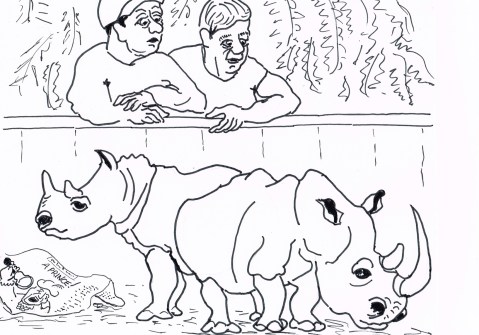  A Cincinnati zoo will attempt to breed rare Sumatran rhino  brother and sister in an attempt to save the species from extinction.   