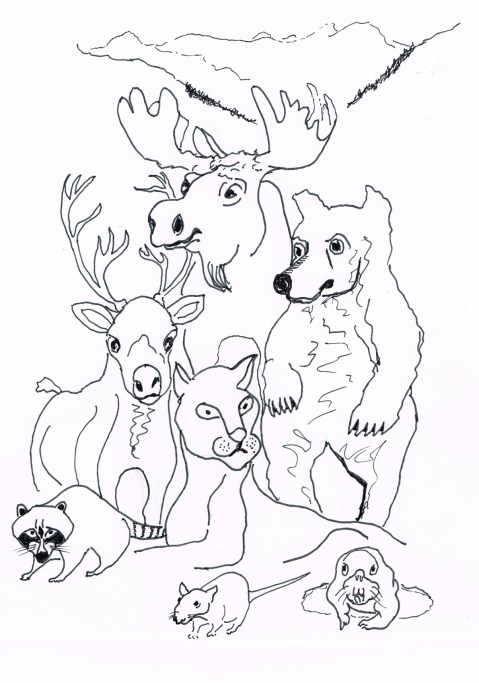 "I know its a Requiem, but I didn't hear any shots." Orchestra and Chorus perform Paul Walde's Requiem at Farnham Glacier in the Kootenays to draw attention to the world's disappearing Glaciers