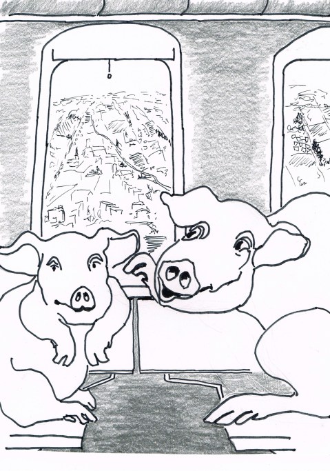 "JetSet Vets" provides a private jet and , veterinarian escort for rich customers willing to pay up to $12,000 per hour to travel with their pampered pets.