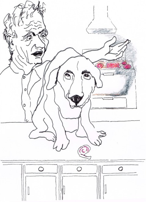 A Black Lab in Washington  turned on the stove when reaching for food and caused an apartment fire.