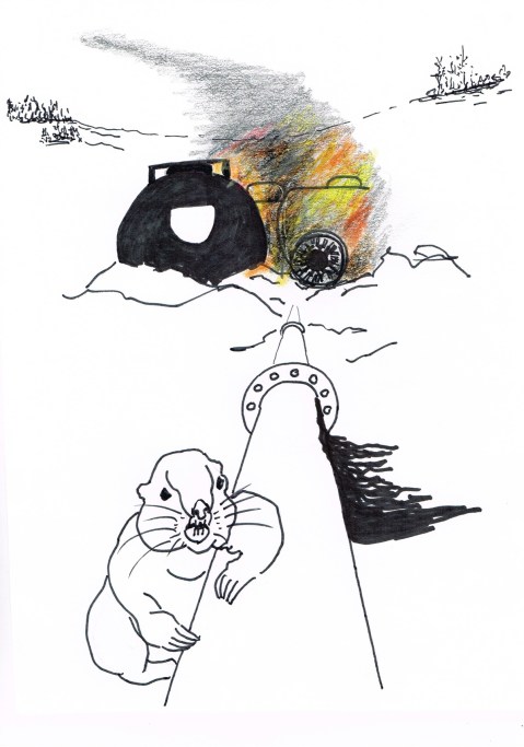 As Canadians debate the various dangers of transporting oil-sands bitumen by rail or tanker or pipeline; the best course of action for the environment and our future health remains unstated: leave it in the ground!