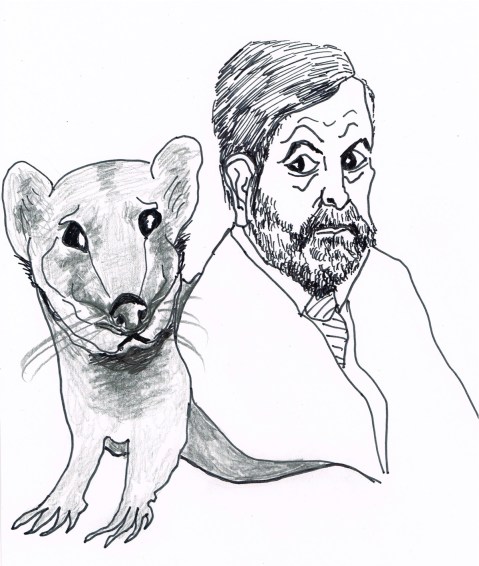 Opposition Tom Mulclair's response to Prime Minister Harper's evasive answers in Question Period regarding the "robocall" scandal when thousand s of voters received calls directing them the the wrong polling stations. [Weasels everywhere protest the insult]