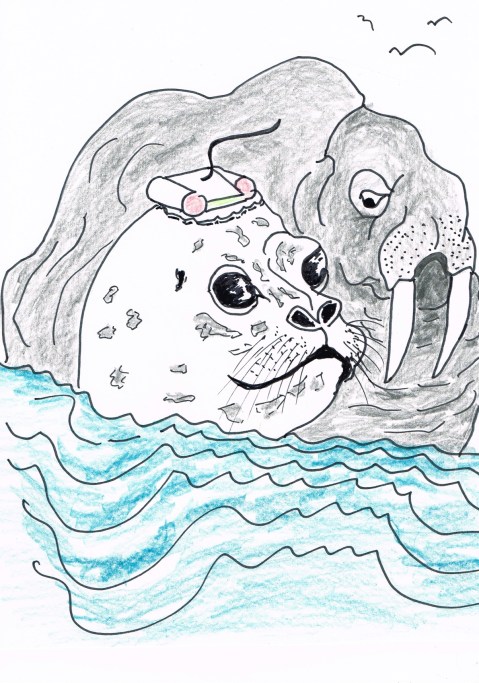 The Vancouver Aquarium released 5 rescued harbour seals back into the ocean and plans to monitor them using satellite transmitters attached to the pups' heads.