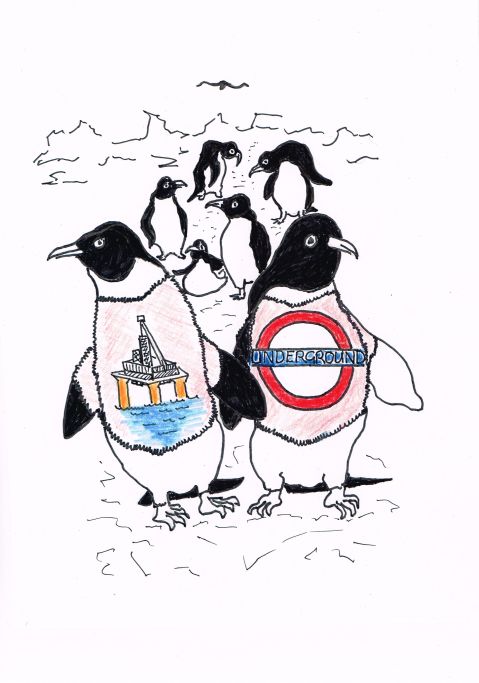 Sweaters for penguin oil-spill victims