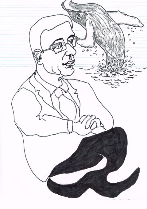 Stephen Harper's Conservative Government has downgraded protection for the endangered Pacific Humpback Whale in order to remove environmental obstacles from the proposed project to ship oil from the Northern Gateway pipeline