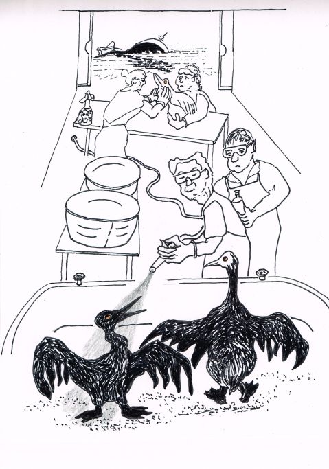 Kinder Morgan says that there can be economic benefits from oil spills in its proposal to the Canadian Government. [A boom in rubber gloves and Downy dish soap sales?]