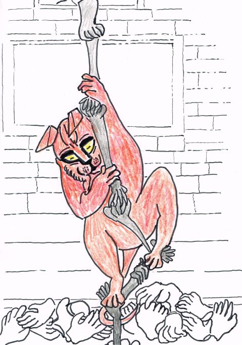 Sienna the cat has stolen over 50 gloves from around her Burnaby neighbourhood over the past few months. [In her defence Sienna says: "If the gloves don't fit, you can't convict!"]