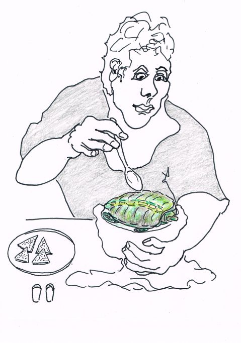 Ontario endangered spotted turtles are under threat from poachers supplying  international black-market collectors.