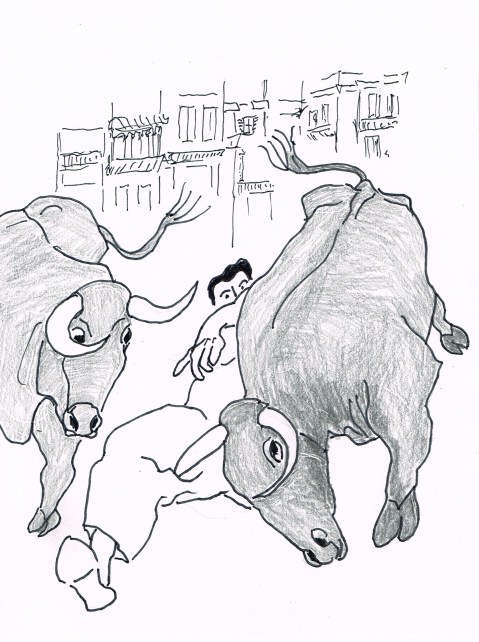 Bill Hillimann, an Ameican who wrote the book "Fiesta, How to Survive the Bulls of Pamplona", was gored twice at the running of the bulls.