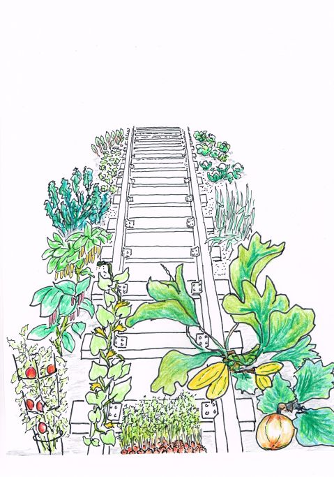 Though negotiations continue between CP Rail and the City of Vancouver over the sale of the Arbutus rail corridor, CP moved in with bulldozers to clear community gardens that have grown for years along the unused route.