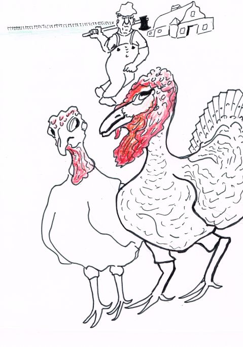 A culinary feature for Thanksgiving:'How to cook the best bird'.