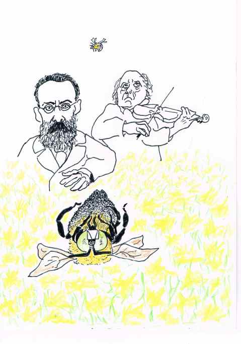 Our key pollinator,the Bumble bee is threatened with extinction.It is unable to shift it's range northwards as temperatures warm.