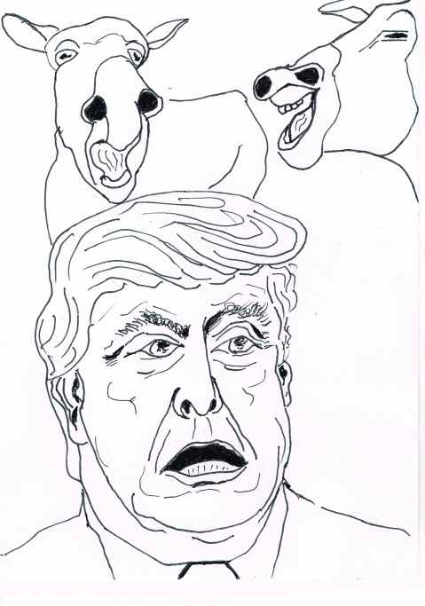 : He who brays loudest trumps all.