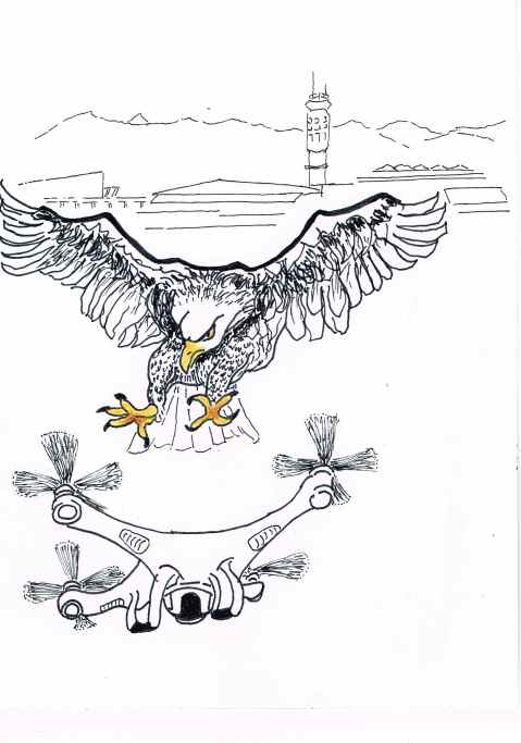 Vancouver airport uses predatory birds to keep the runway safe from migratory birds [and Drones…..].