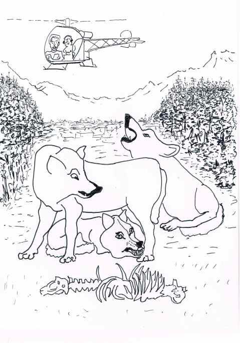 Twerkers of the world unite.Miley Cyrus visits BC to protest the wolf cull.