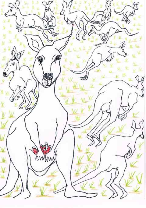 An Australian teen plotted to pack a Kangaroo with explosives and set it loose on police.