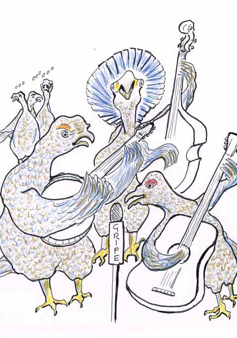 Canmore,Alberta.Hikers attacked by angry Blue Grouse.