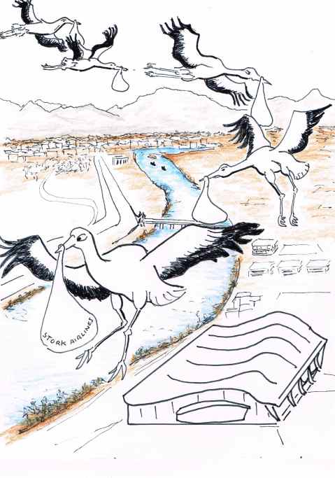 Birth tourism is on the rise.Babies born to non residents in Canada gain automatic citizenship.