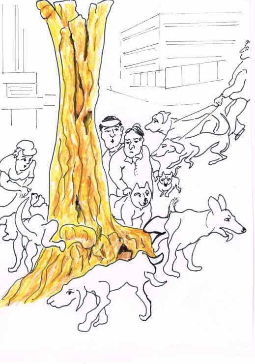 Douglas Coupland's new Golden Tree sculpture is an eye catcher for all Vancouver residents.